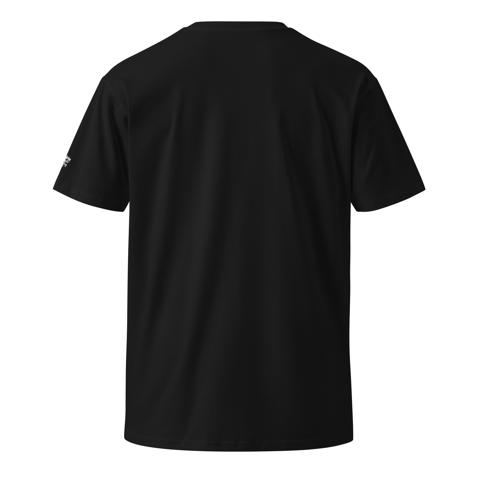 unisex-premium-t-shirt-black-back-689418680185c.png