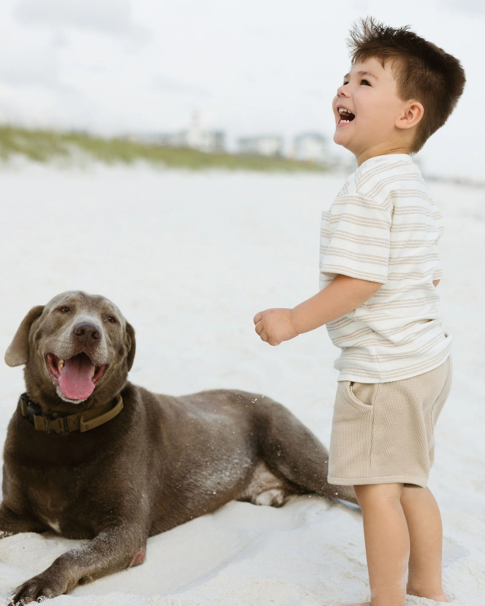 Families grow in all shapes and sizes, including four-legged members! 🐾

Capturing your family in every season of life means including the ones who love unconditionally, chase after little feet, and bring endless joy because your dog is truly a kid&
