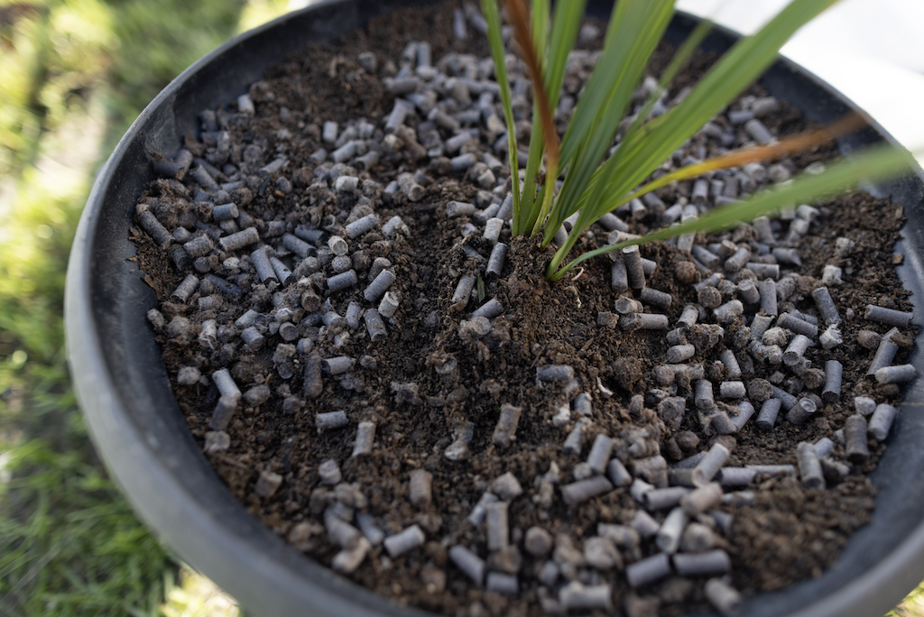 Pellets as mulch.png