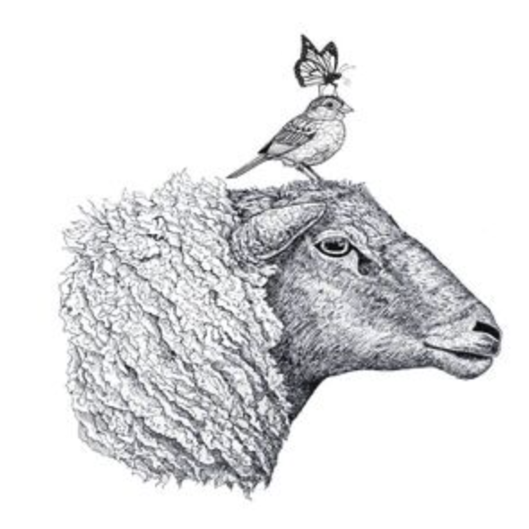 Transhumance Festival