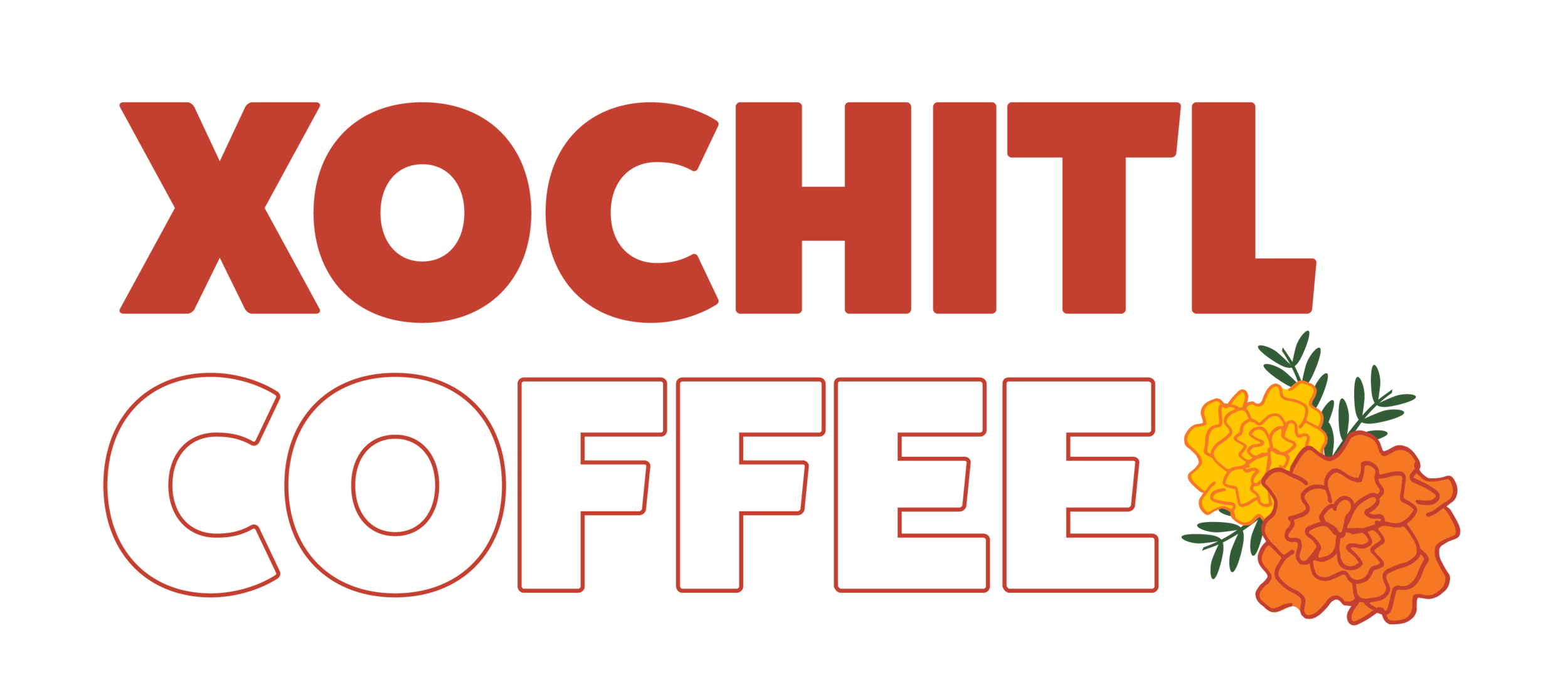 Beginner Equipment: Scales — Xochitl Coffee