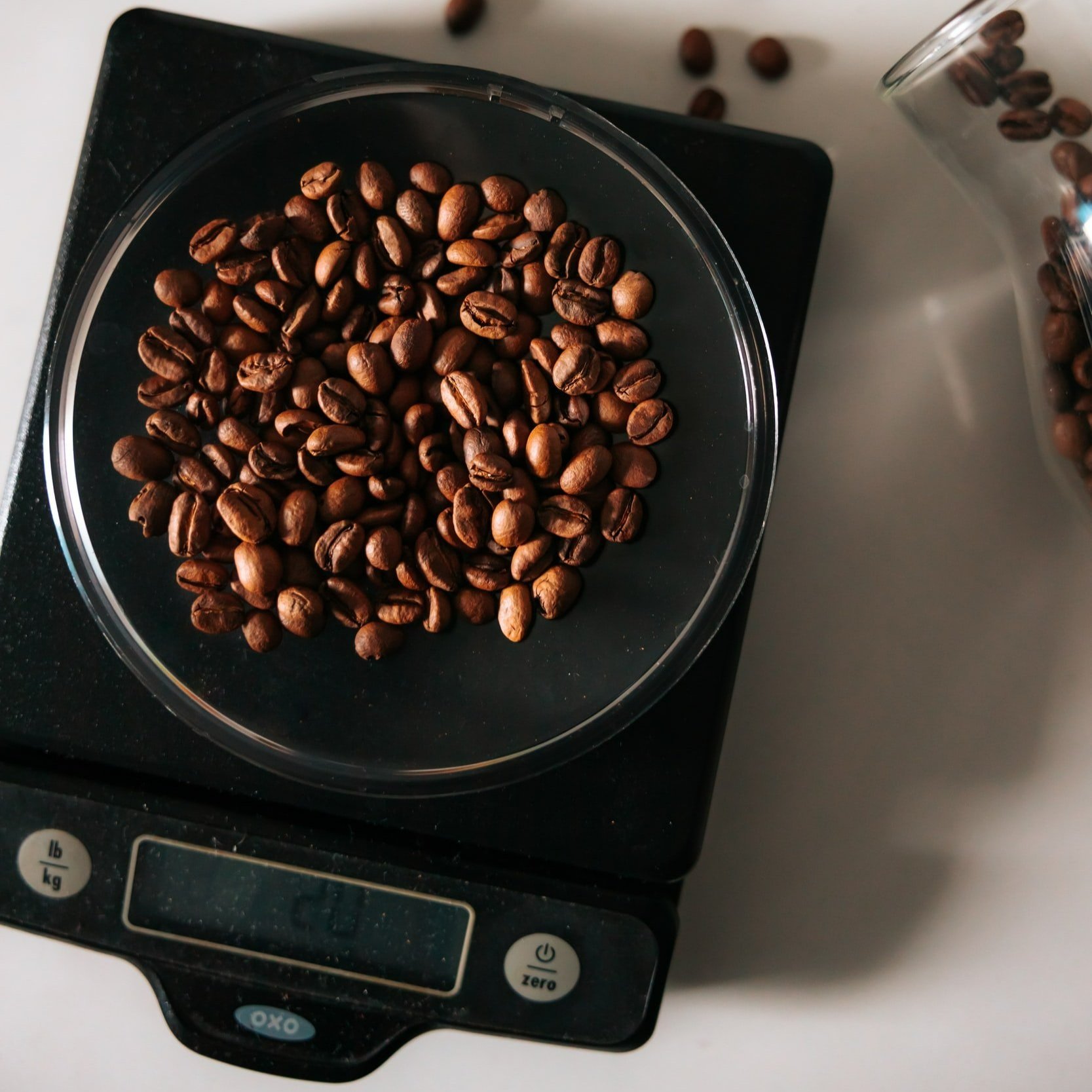 Beginner Equipment: Scales — Xochitl Coffee