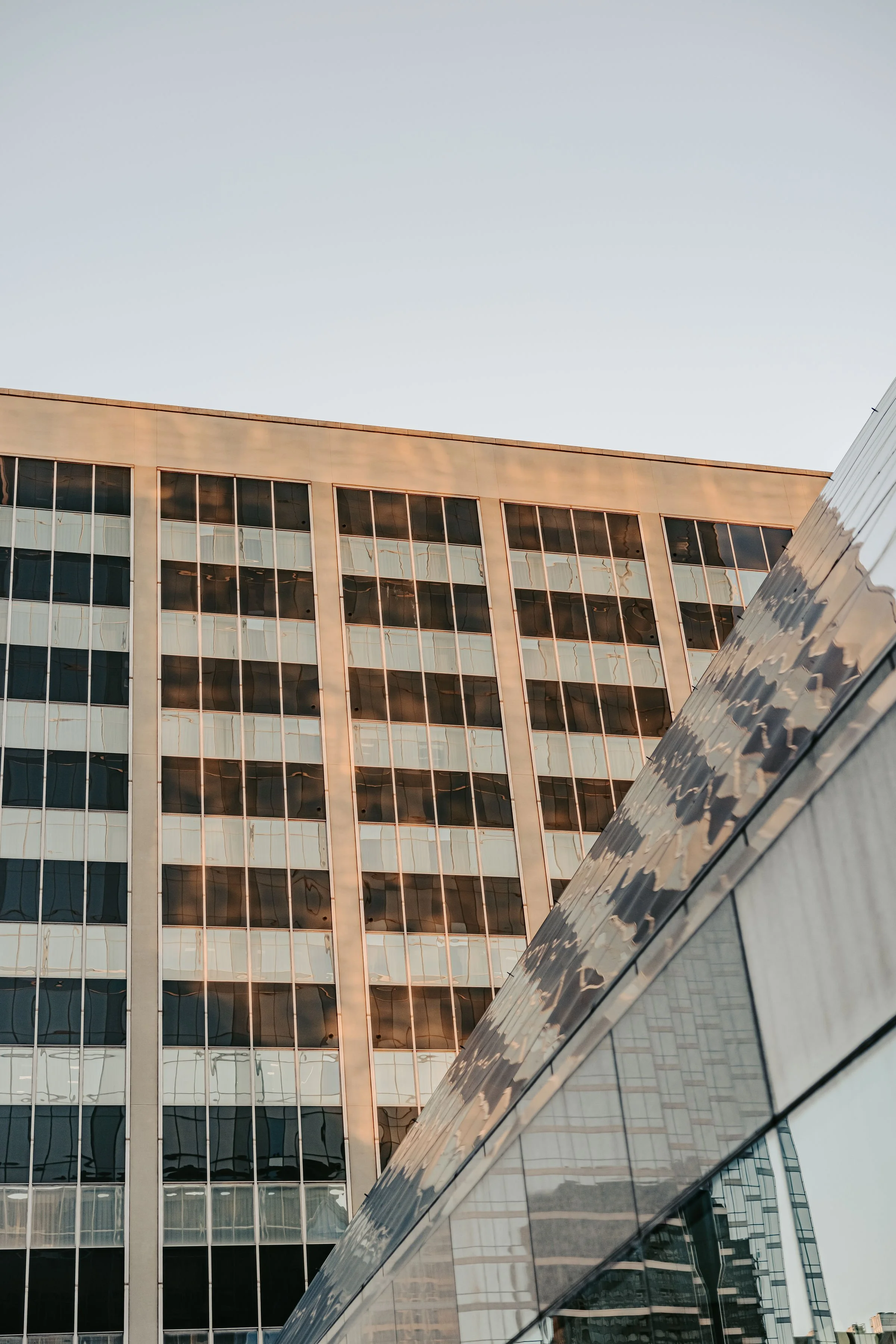 A letter from The executive Director