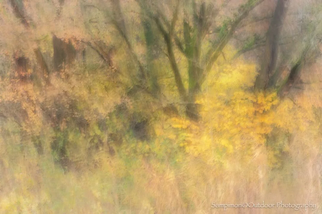 After the storm, nature still held onto enough autumn hues to stir the soul. This morning, the birches and oaks painted the mood along the banks of the river Regge, their golden and russet tones whispering stories to the wind. From this serene rivers