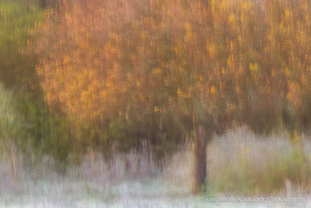 From this willow, adorned in gentle autumn hues within my local patch the Reggedal, I created a single ICM image with a shutter speed of two seconds. During the exposure, the camera first rested in stillness, before I set it into a graceful motion al