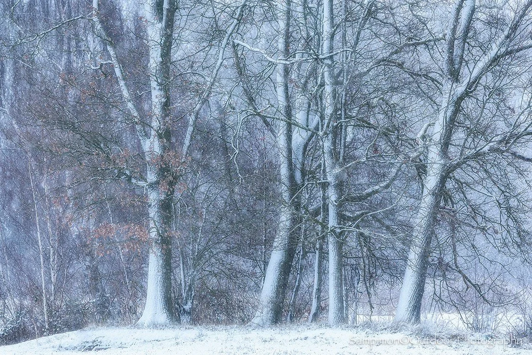 The rust brown leaves of the oak still lent a quiet warmth of color to my snow covered local patch the Reggedal, their stubborn presence softening the white silence and whispering of autumn&rsquo;s last breath amid the winter calm.
#hope #mood #seren