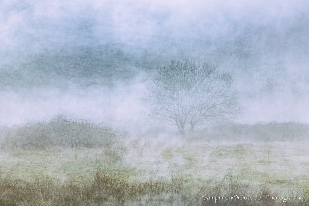 A cold, misty morning in my local patch, the Reggedal, where the landscape seemed to hover between waking and dreaming. From this quiet scene I created a single ICM image, using a shutter speed of four seconds to let time itself seep into the frame. 