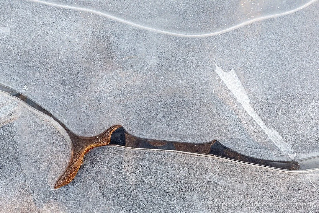 Merely a single oak leaf, delicate and timeworn, suspended in ice, as if winter itself paused for a moment to hold it still. A fleeting fragment of autumn, forever preserved in a silent, frozen embrace.
#hope #mood #serenity #tranquility #geluksmomen