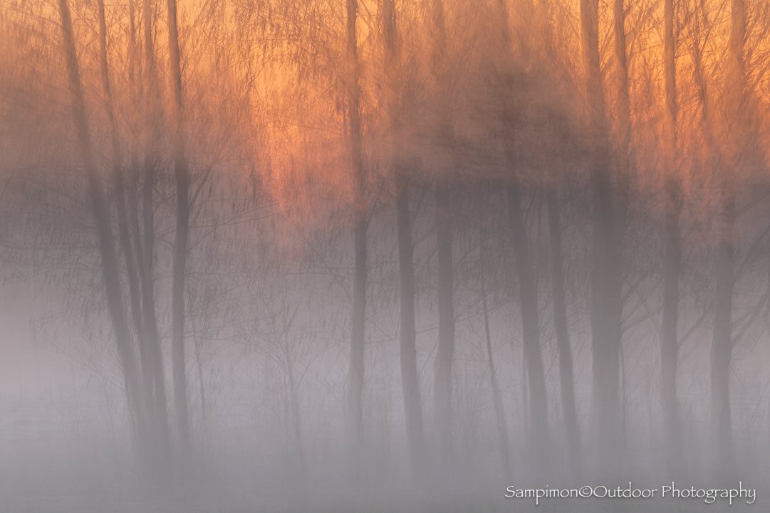 At last, a string of beautiful mornings has returned, with soft mist drifting gently across the fields of my local patch, Het Reggedal. There is something magical about these quiet dawns, when the landscape slowly awakens and the first light of sunri