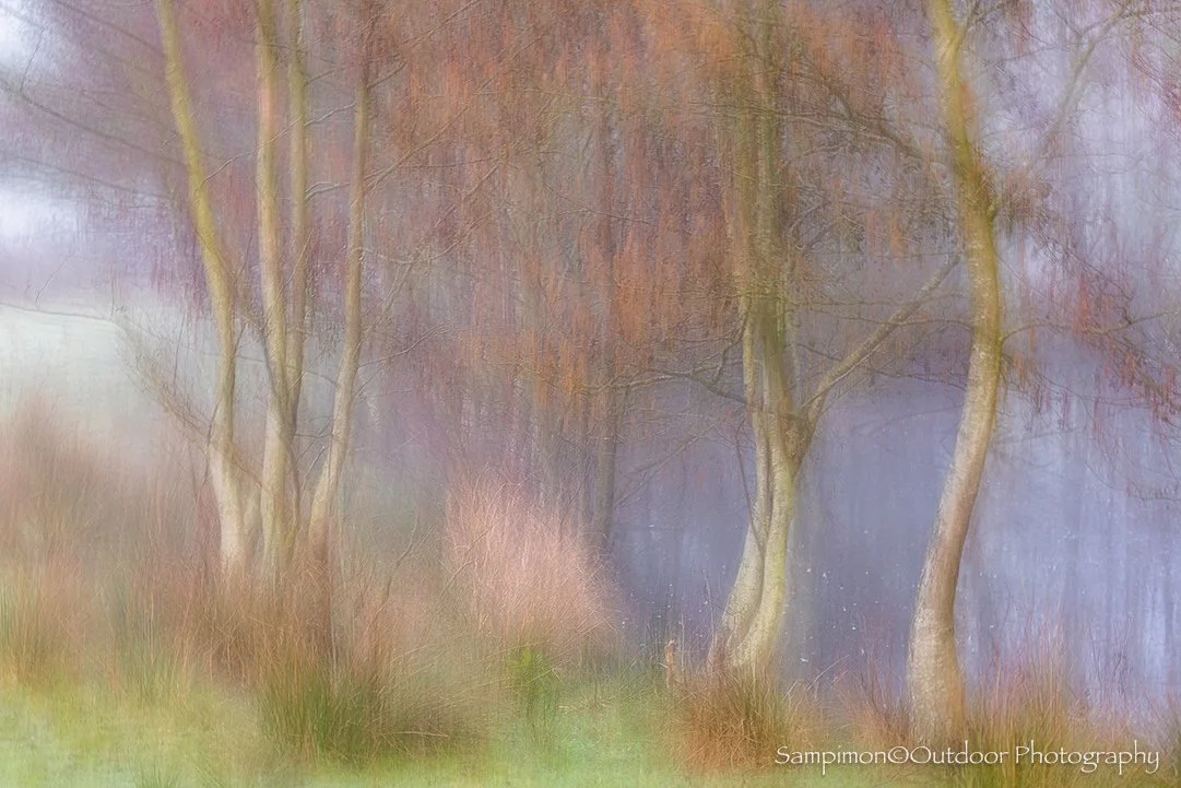 Just a gathering of alder trees in my local patch, the Reggedal. Yet, wrapped in drifting mist and shaped through the use of Intentional Camera Movement (ICM), the scene slowly transformed into something far more painterly, almost impressionistic in 