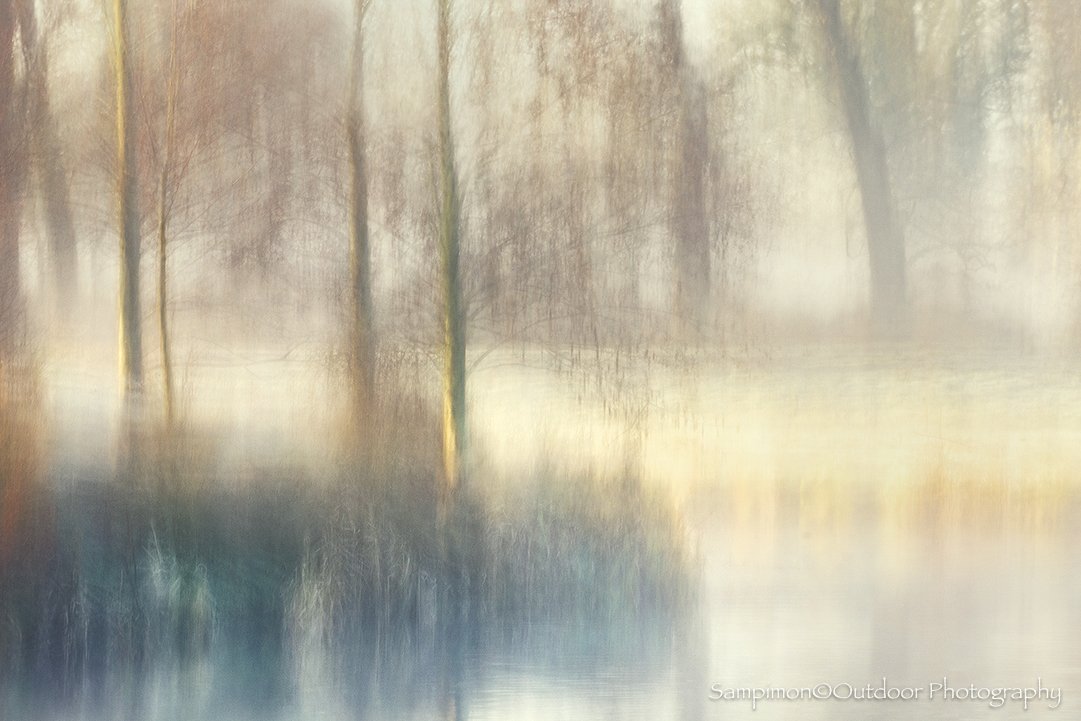Last week, on a cold, mist veiled night in my local patch the Reggedal, I found myself drawn to these alder trees lining the quiet banks of the river Regge. The air was still, softened by a gentle haze that seemed to blur the boundary between earth a