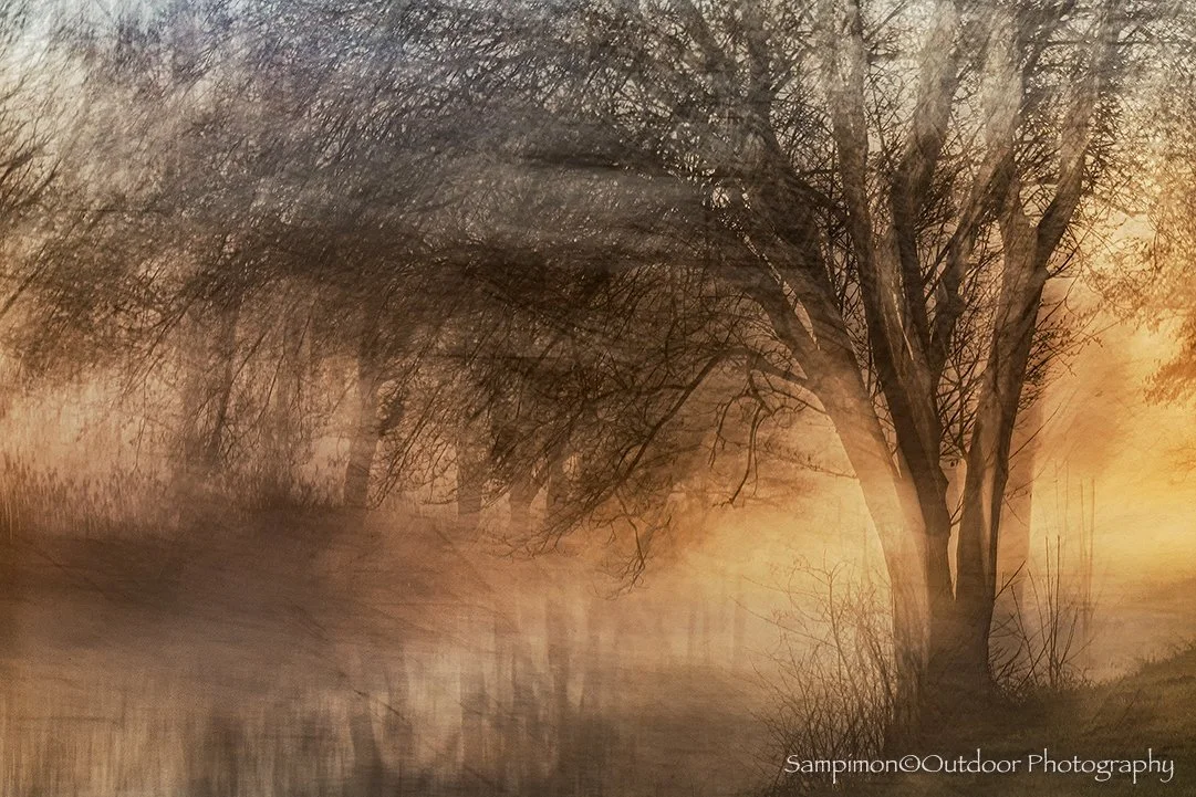 Tree of Light. Once again, a cold morning unfolded, veiled in delicate ribbons of mist drifting slowly across the river Regge. At that moment the blossoming willow on the riverbank stood quietly awaiting the dawn. Then the rising sun appeared, and in