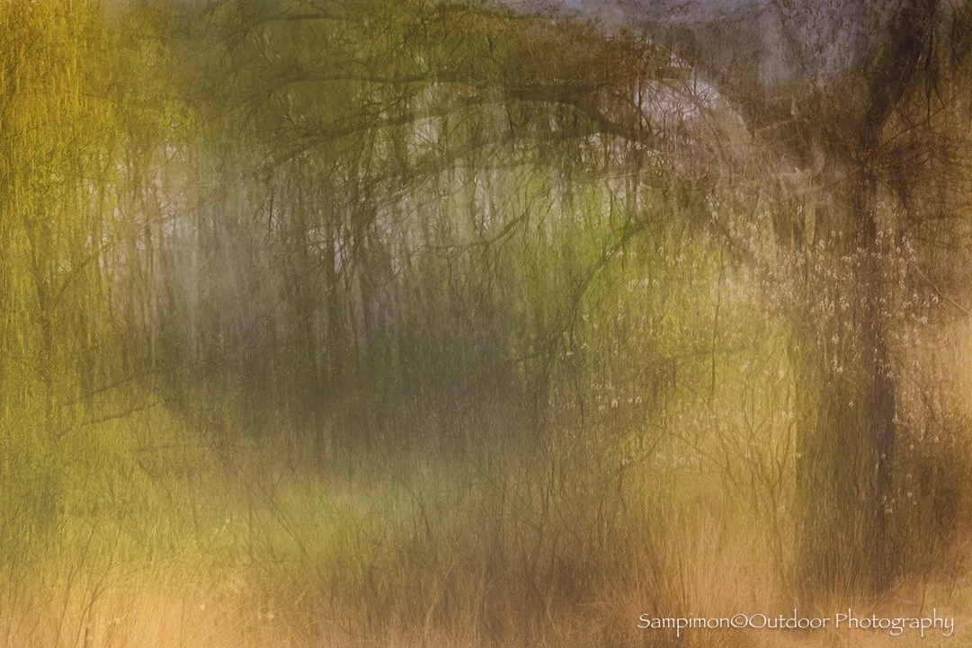 What touches me most in this form of ICM is how the landscape softly dissolves into a dreamlike veil, while the subject preserves its essence and remains gently recognisable. There stands the old oak, its gnarled, weathered branches telling stories o