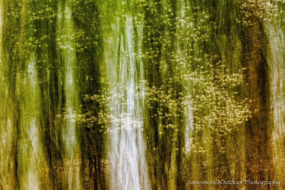 Searching for glimmers of light. From this composition, a single ICM image was created using a shutter speed of two seconds. After holding the camera perfectly still, a gentle, deliberate movement was introduced, allowing the scene to dissolve into a