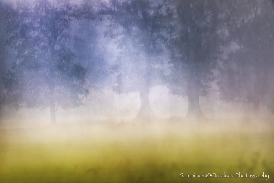 Before sunrise in my local patch the Reggedal, a row of oak trees stood in a freshly mown meadow. The cool hues of the awakening morning formed a delicate contrast with strands of mist that drifted and danced softly between the trees. To capture the 