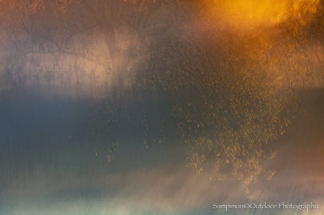 260501ICM0579-2.jpg