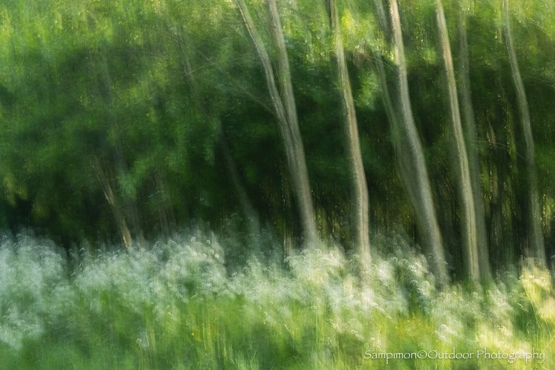 260515ICM14380131-2.jpg