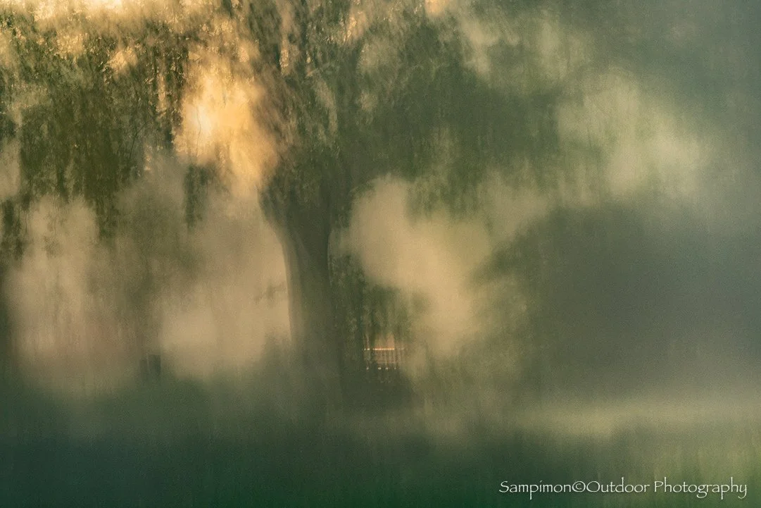 260524ICM22370148-2.jpg