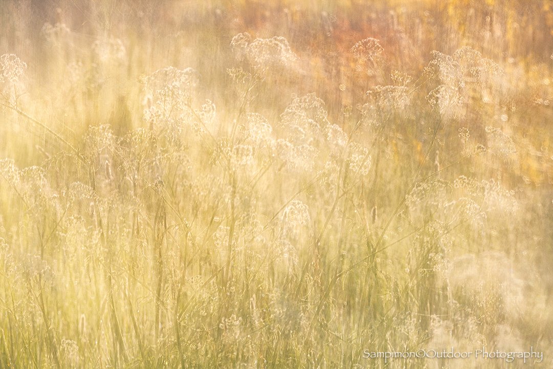 260509ICM09600172-2.jpg