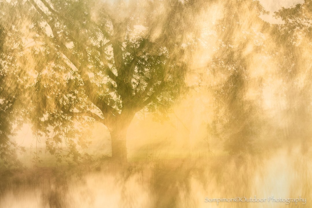260524ICM22210137-2.jpg