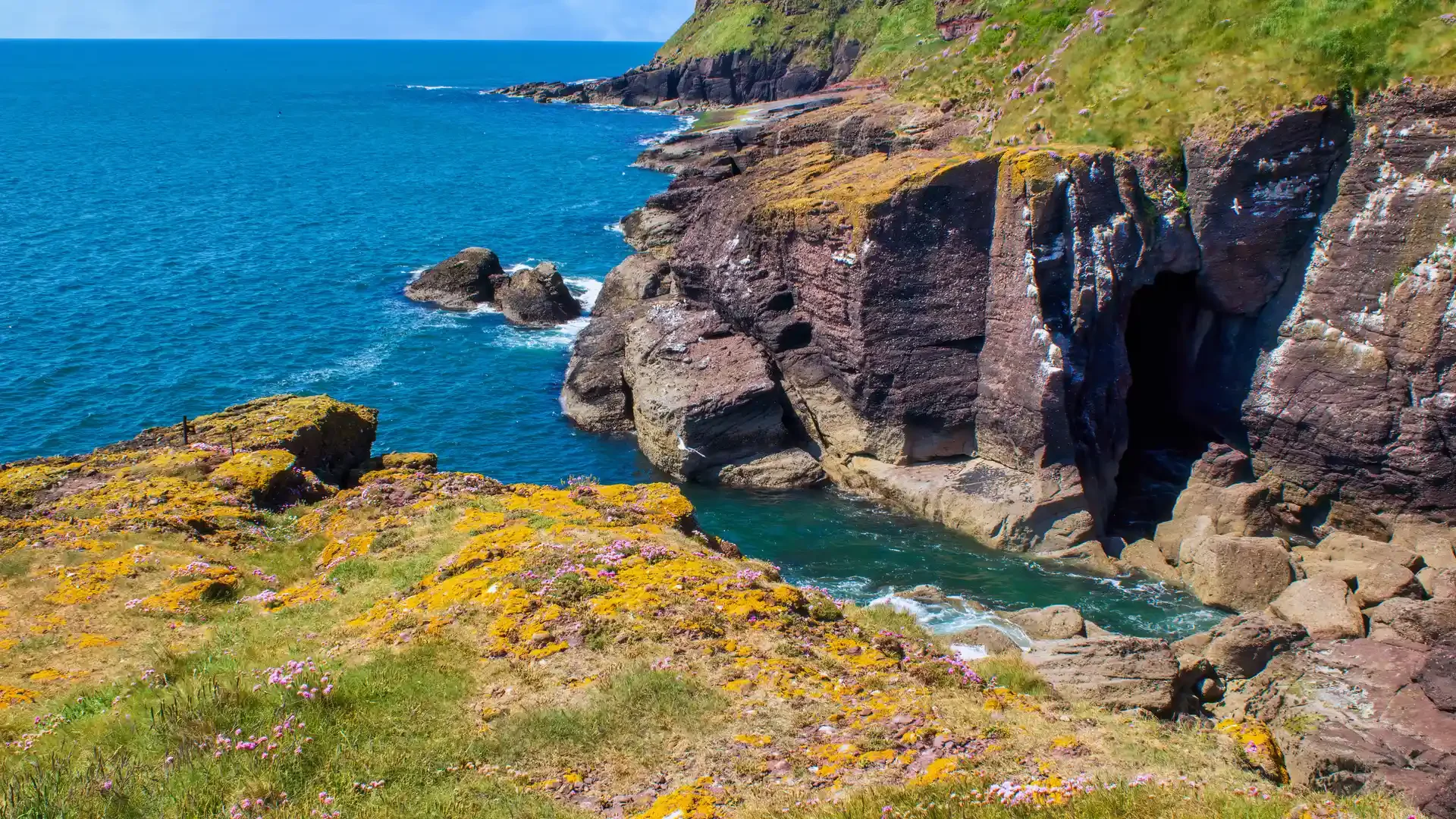 Annestown Beach on the Copper Coast in County Waterford, Ireland, a secluded sandy cove at low tide with rock pools, rugged coastal cliffs, and turquoise Atlantic waters stretching to the horizon under a vivid blue summer sky.