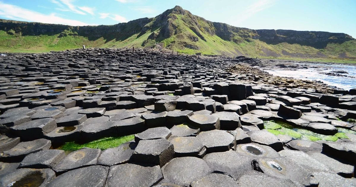 Wide view of Giant’s Causeway in Northern Ireland, with hexagonal basalt columns in the foreground leading to green coastal cliffs and a bright blue sky along the Causeway Coast.