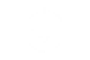 AIR CAPITAL COMBAT.png