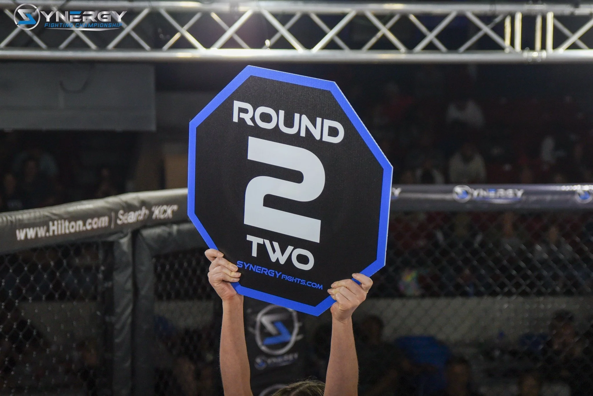 Synergy_Round Cards.jpg