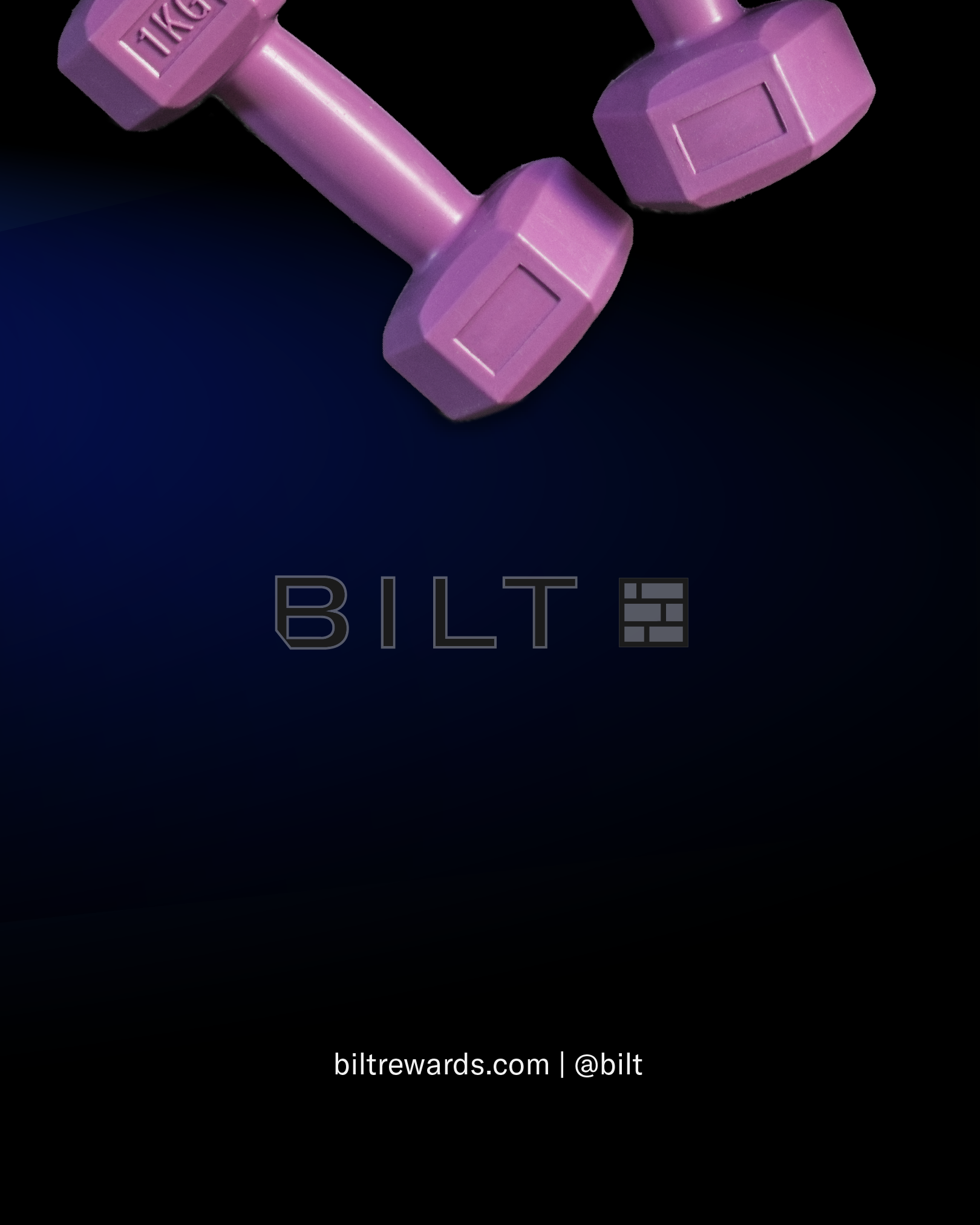 bilt project2-12.png