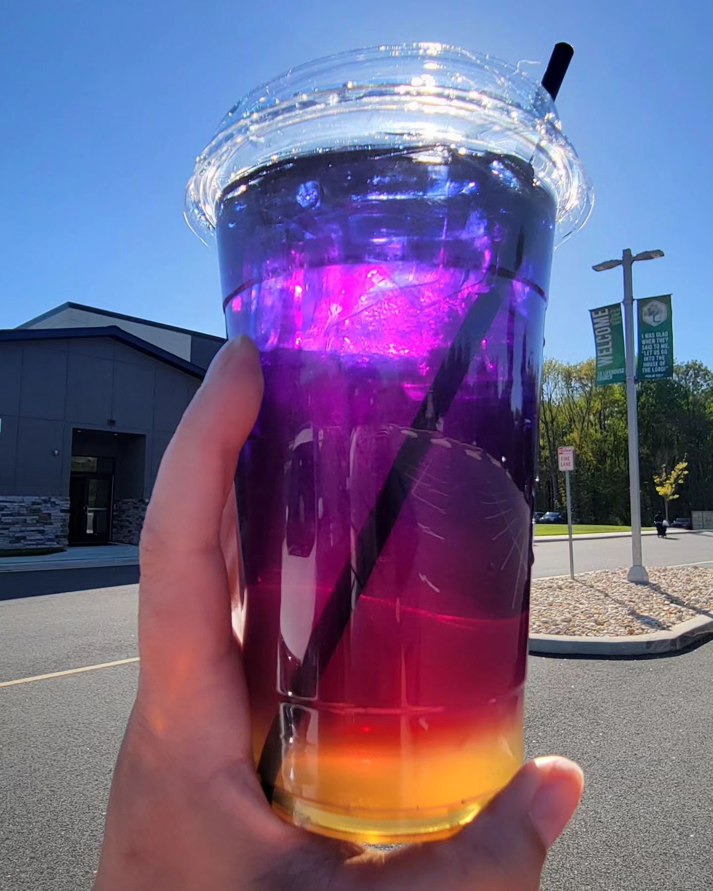 Beautiful and healthy has us feeling great on a Friday! Come in and get a Butterfly Pea Refresher before they fly away. 

#cafe1031 #Townsend #delaware #middletown #lifehousemot #cafe1031coffee #butterflypearefresher #butterflypea