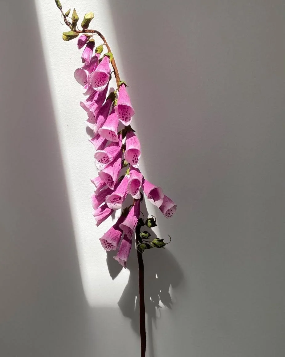 Foxglove by HOPE Paper Flowers