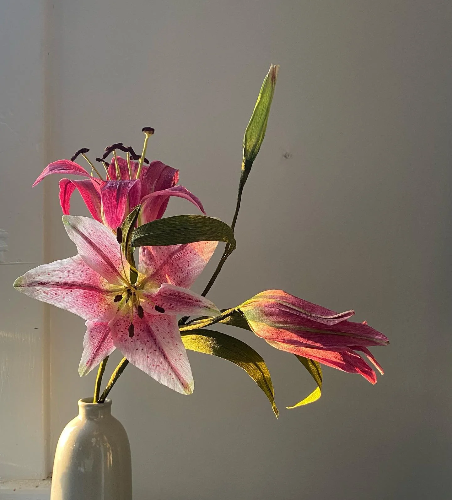 Afternoon light on Star gazer Lily