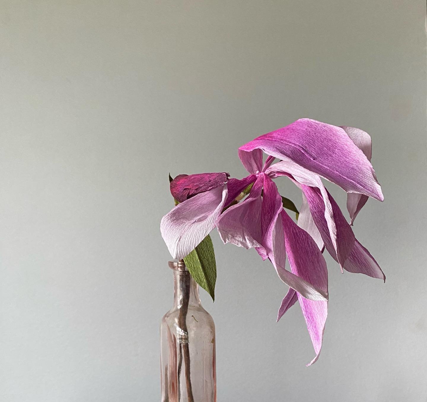 Magnolia by HOPE Paper Flowers. Visit hopepaperflowers.com #paperflowers #papernotplant #botanicalart #botanical #papernotpicked #madeinkingston #new