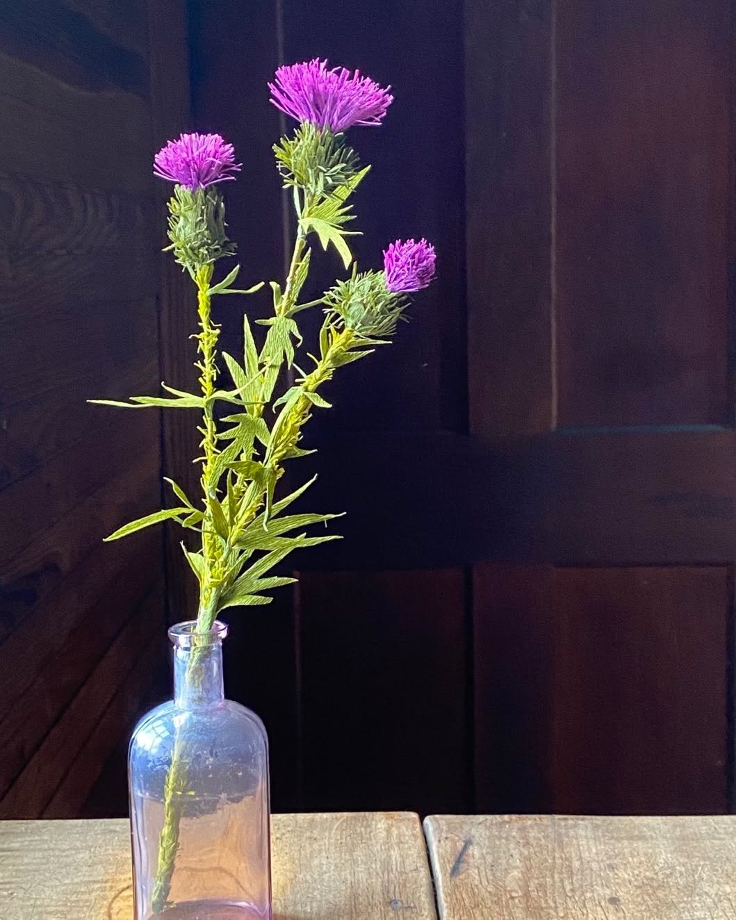 Thistle by HOPE Paper Flowers #paperflowers #papernotplant #flowers #papernotpicked #botanicalart #scotland