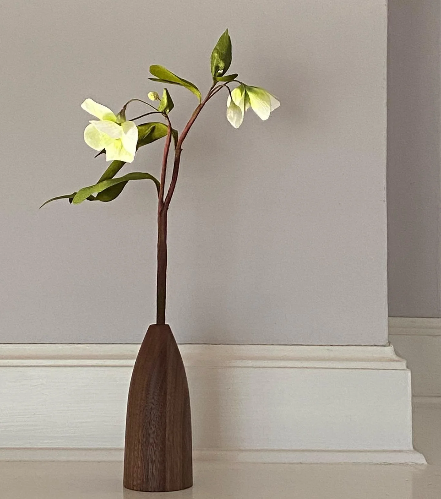 Hellebore by HOPE Paper Flowers. hopepaperflowers.com #madeinkingston #paperflowers #botanicalart #botanicals #hudsonvalleyhomes #papernotpicked