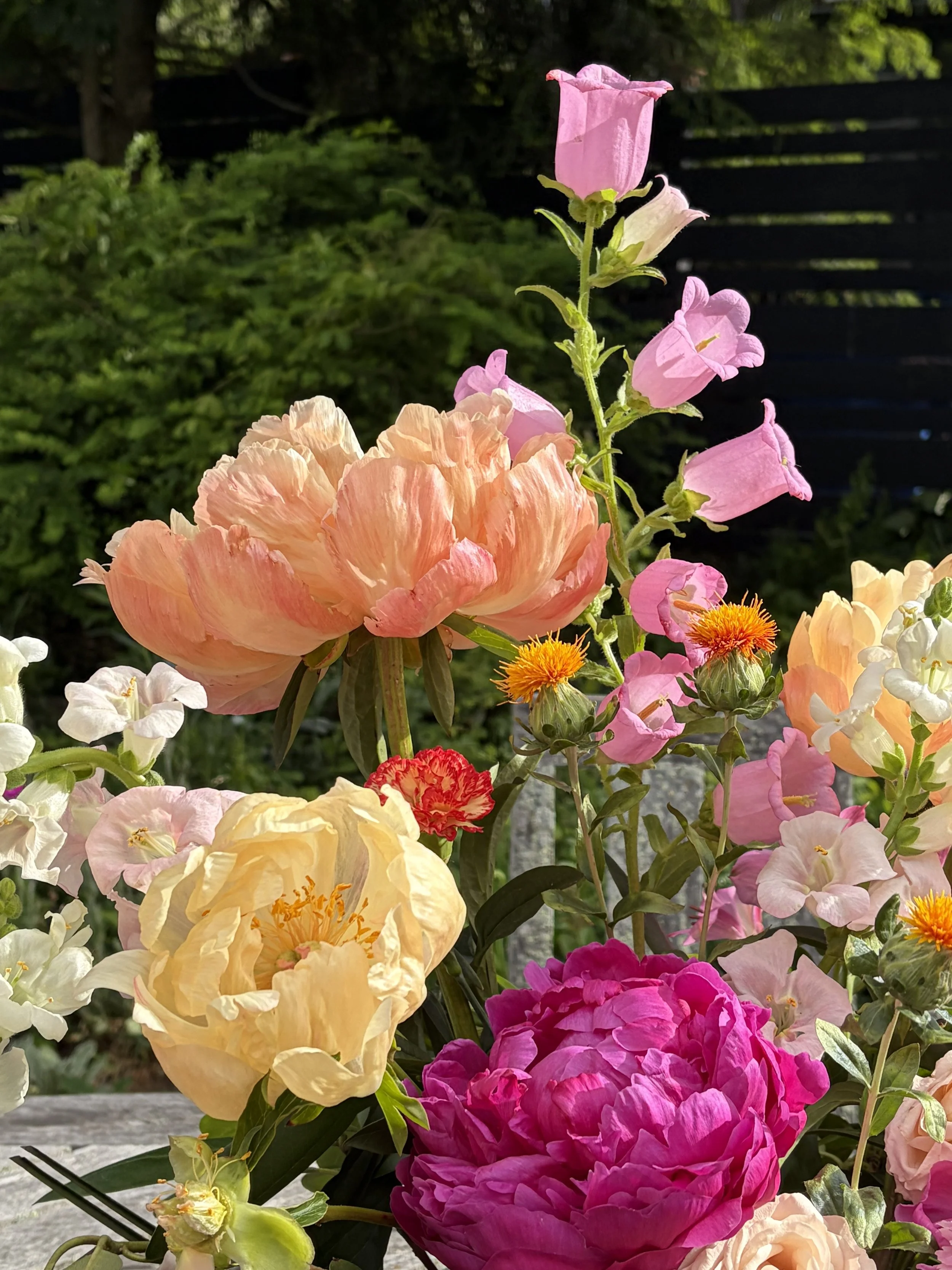 BS Peonies 1.jpg