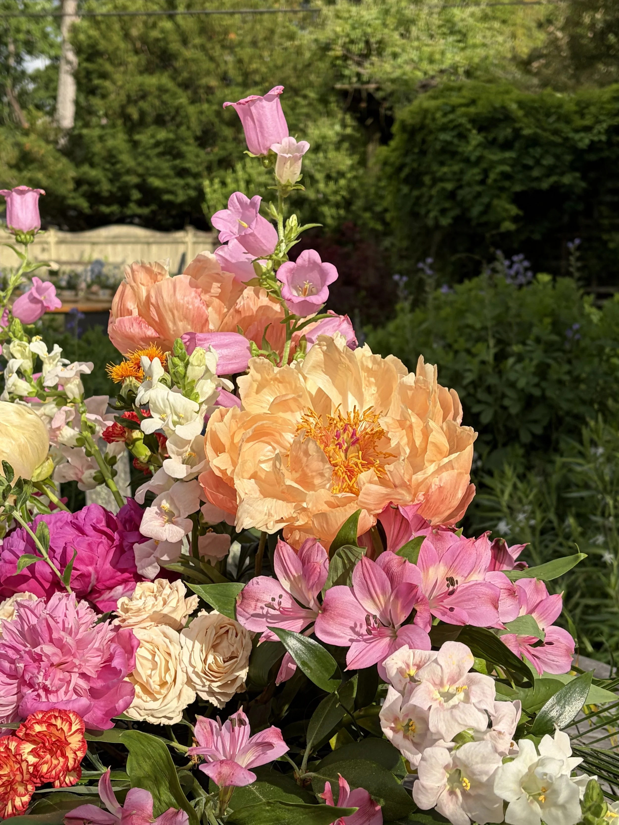 BS Peonies 2.jpg