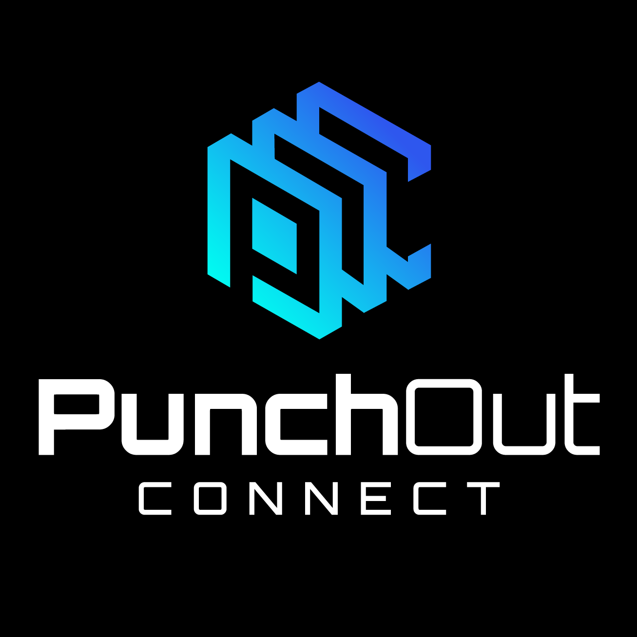 Punchout Connect