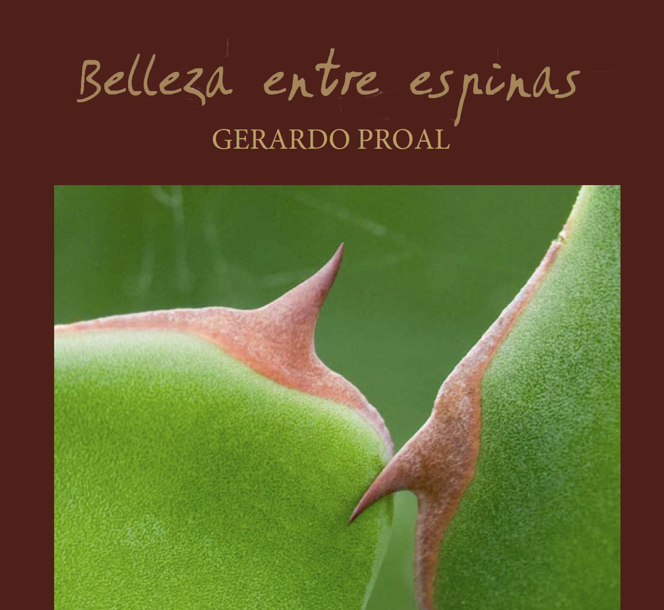 Captura de pantalla 2024-06-18 a la(s) 4.50.59 p.m..png