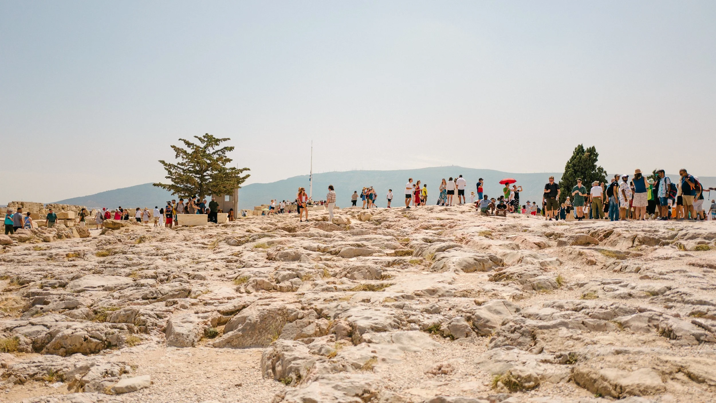 L1020953.jpg