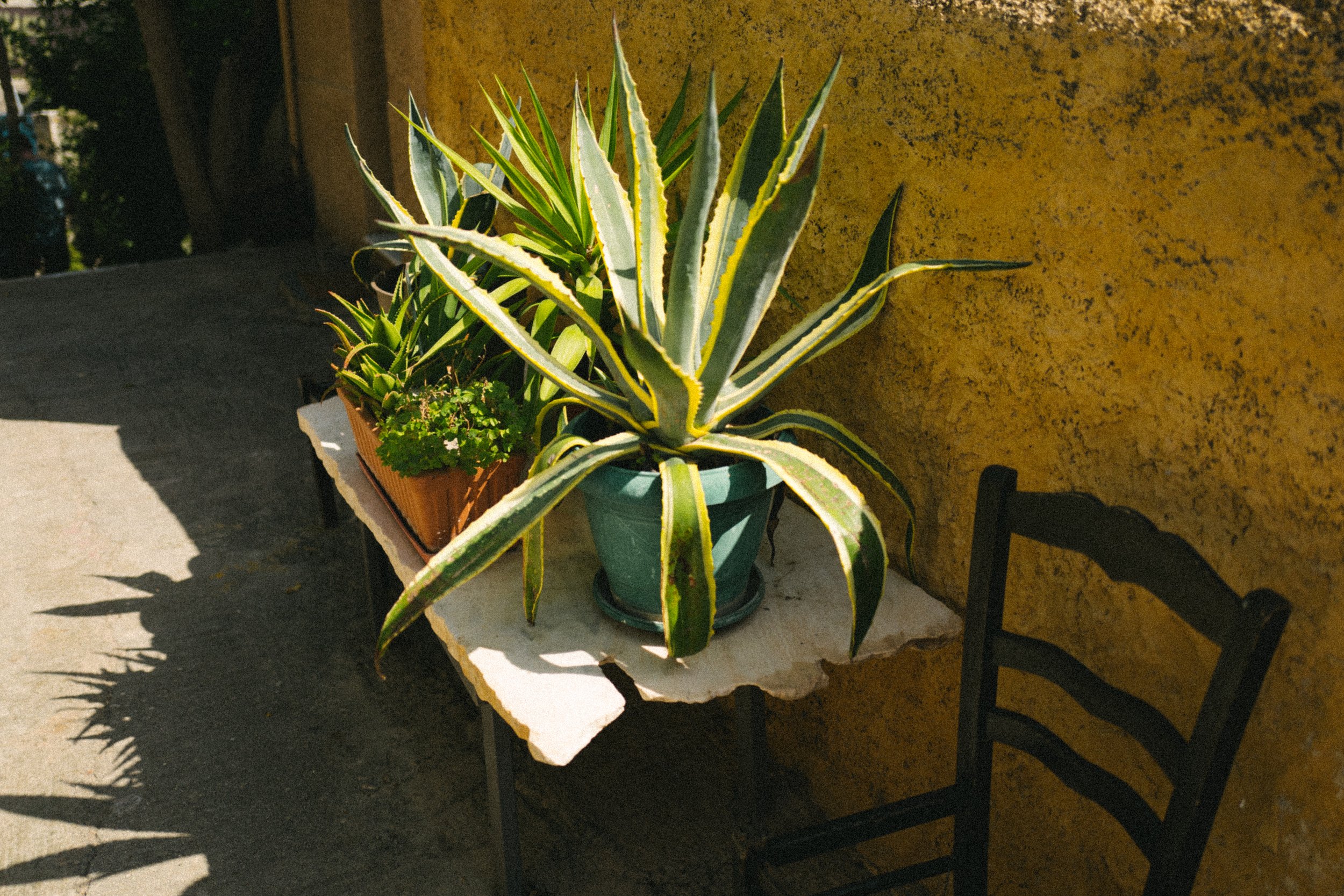 L1020927.jpg