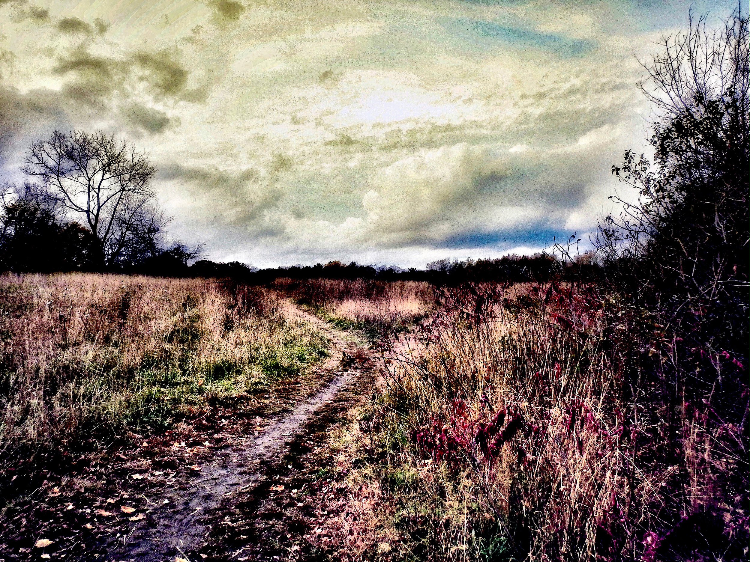 Late Winter, Early Spring