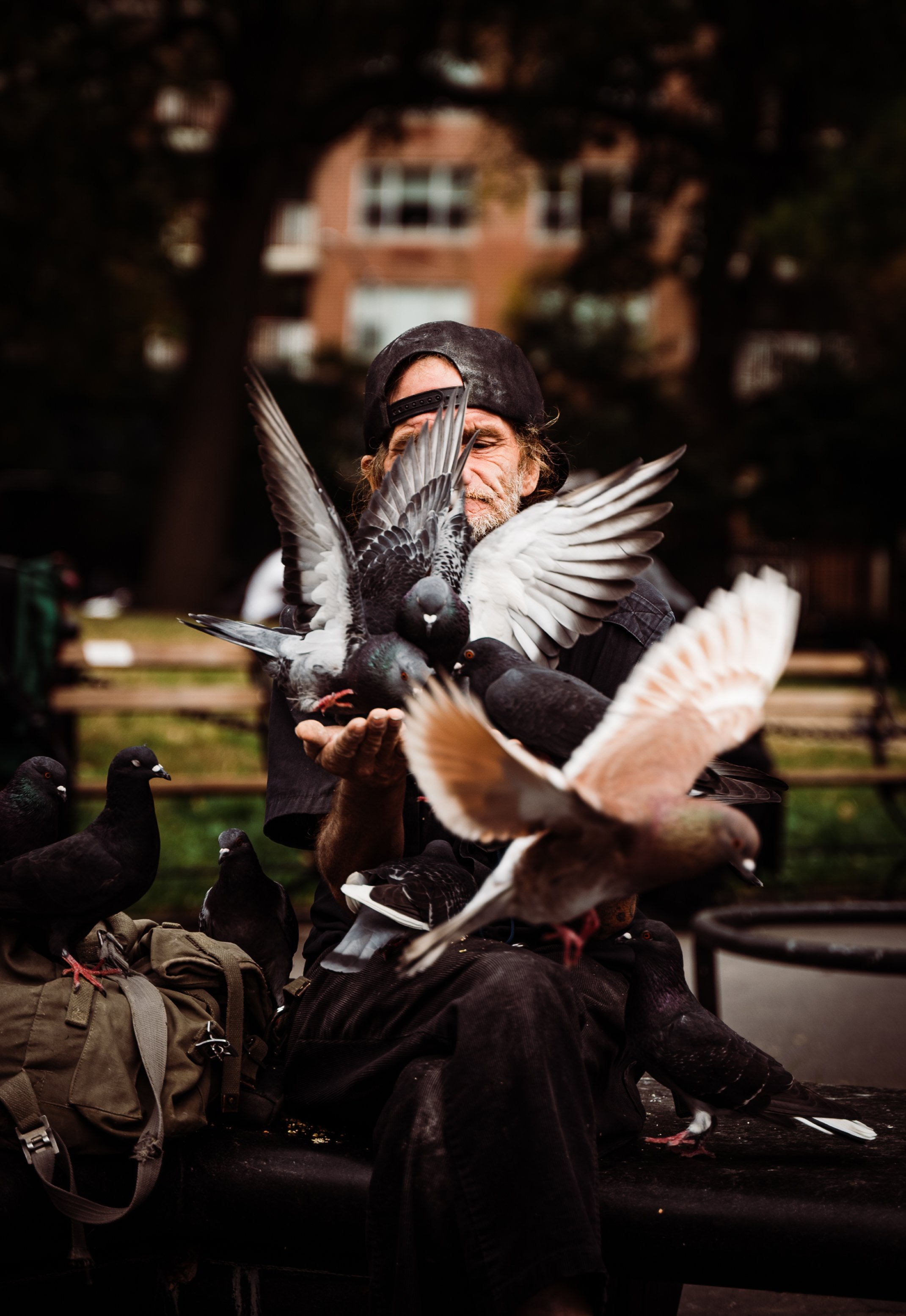 Washington square park pigeons New York