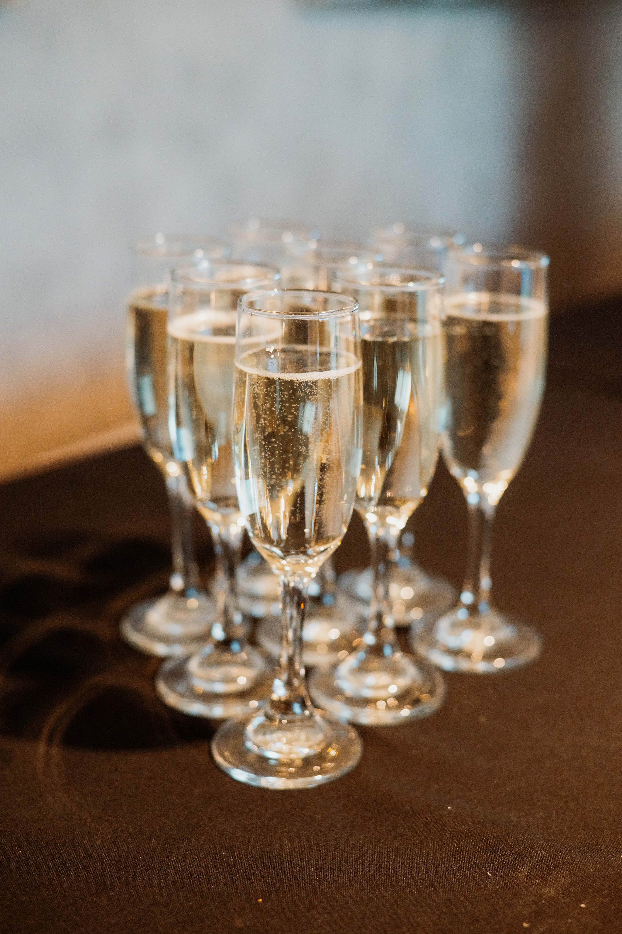 celebration photography.jpg