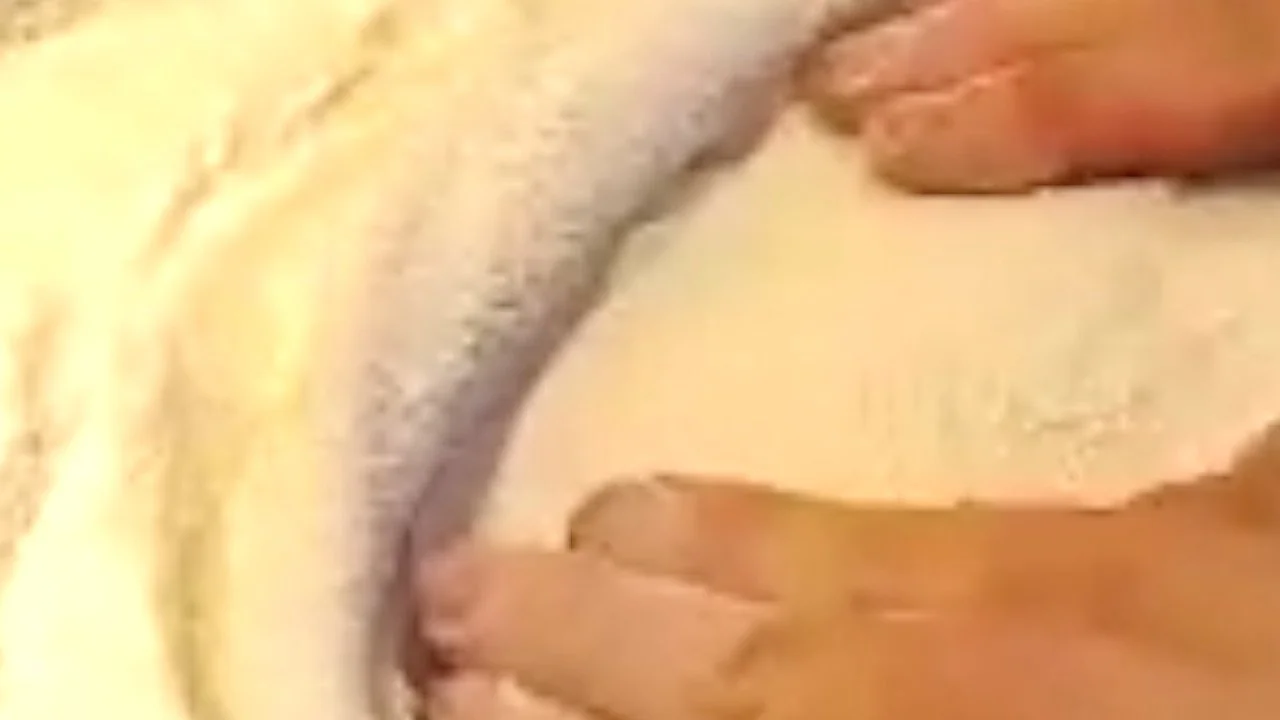 pizza hands image 3.jpg