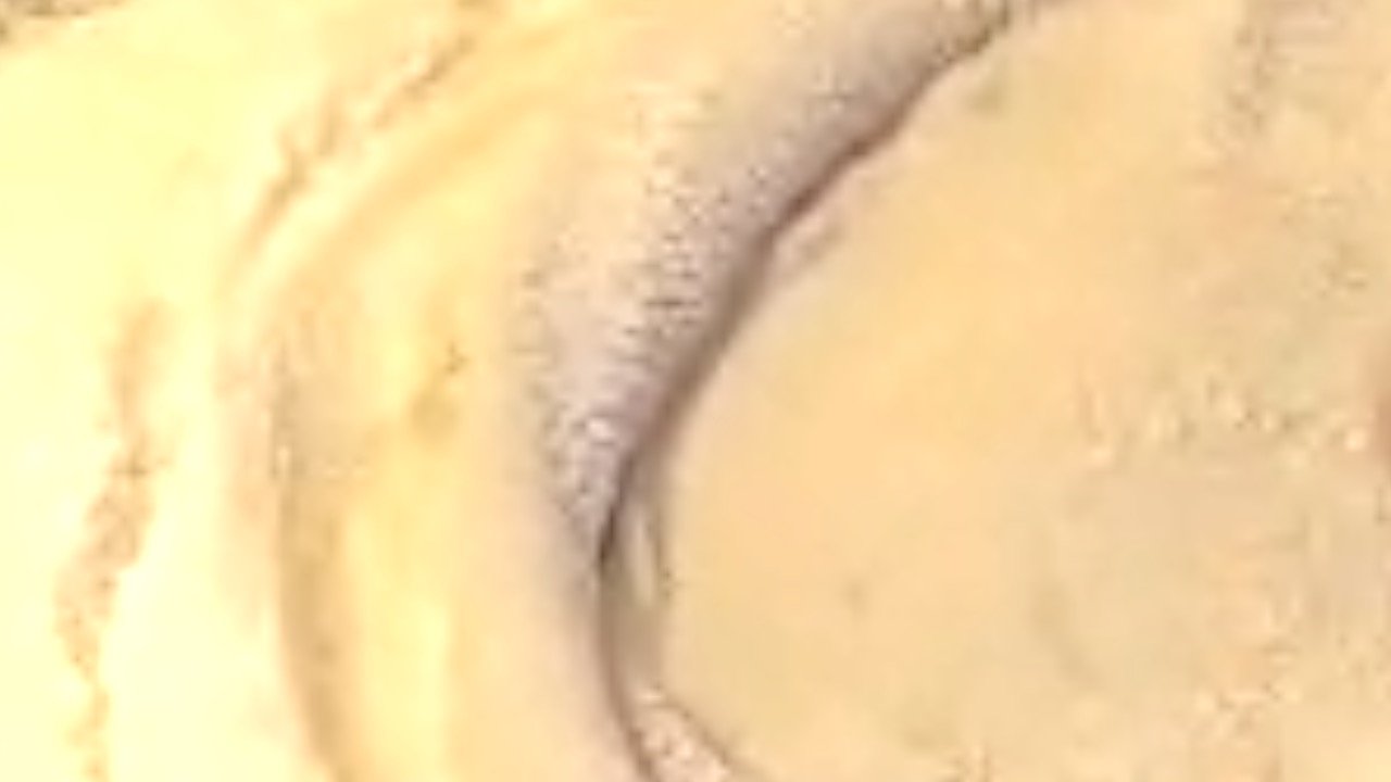 pizza hands image 4.jpg