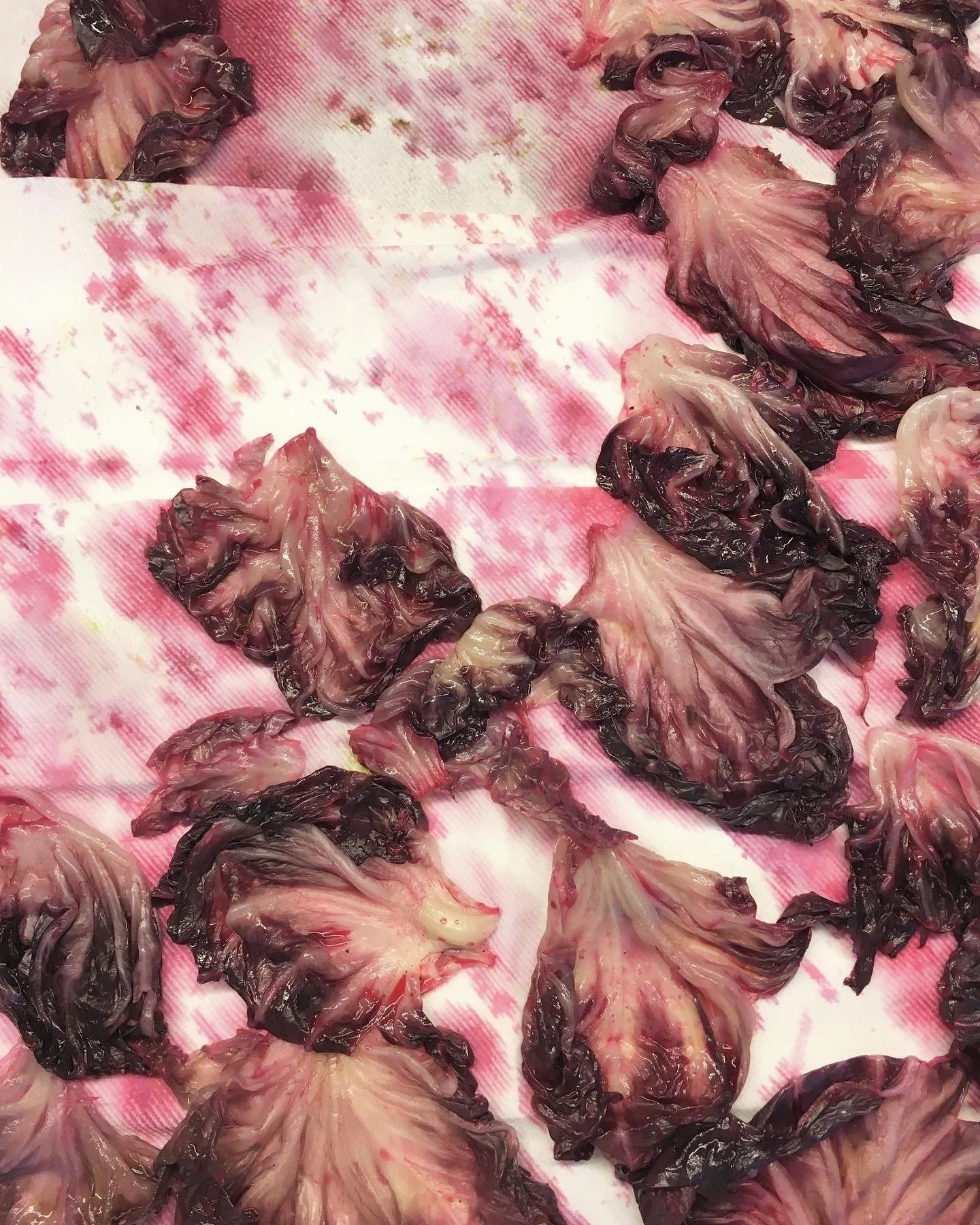 47B83A4E-C18B-409D-AD7A-8D99FEB3EDB7 2.JPG