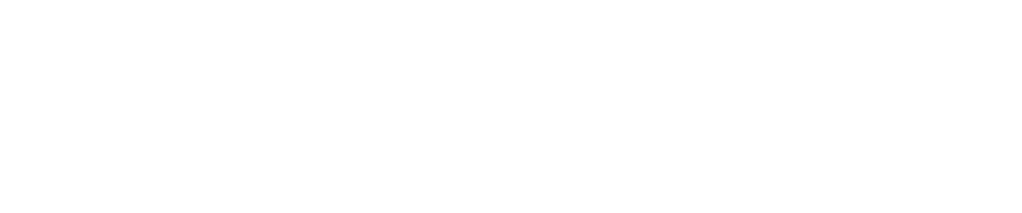 Ace World Wide Relocation