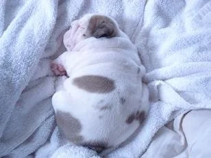 Keeping Baby Protected