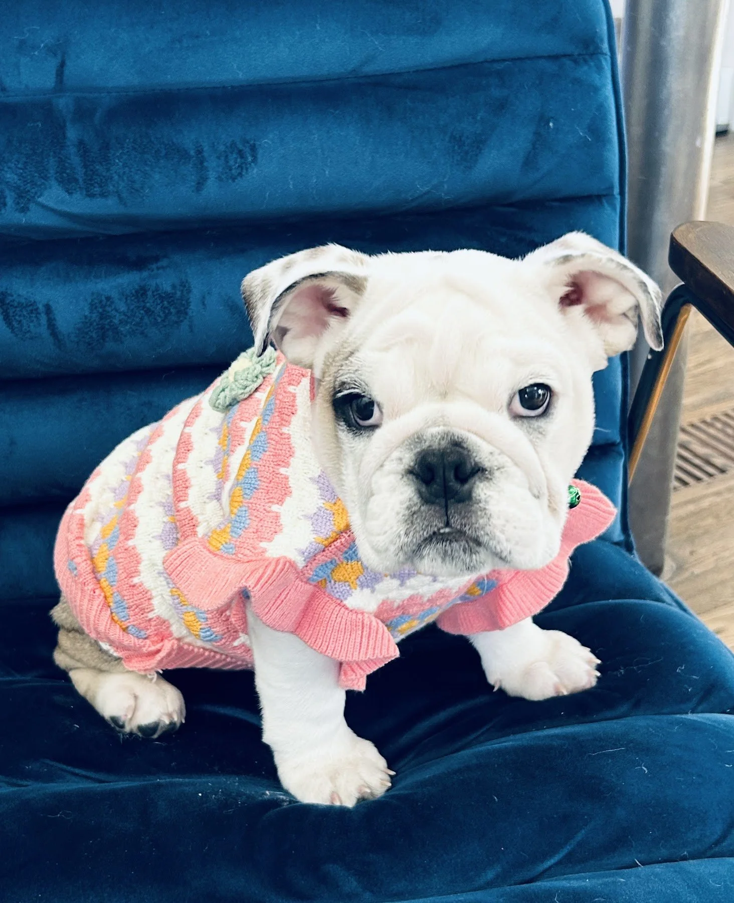 keeping wrinkles clean and clear